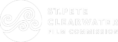 st pete white logo
